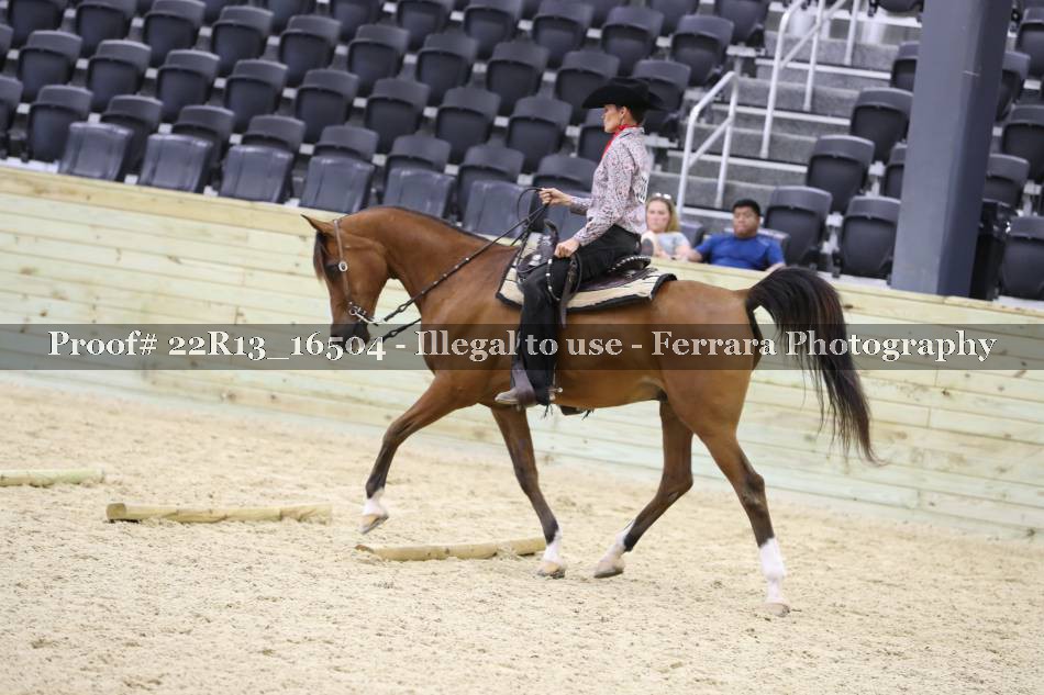 Proof 22R13_16504
