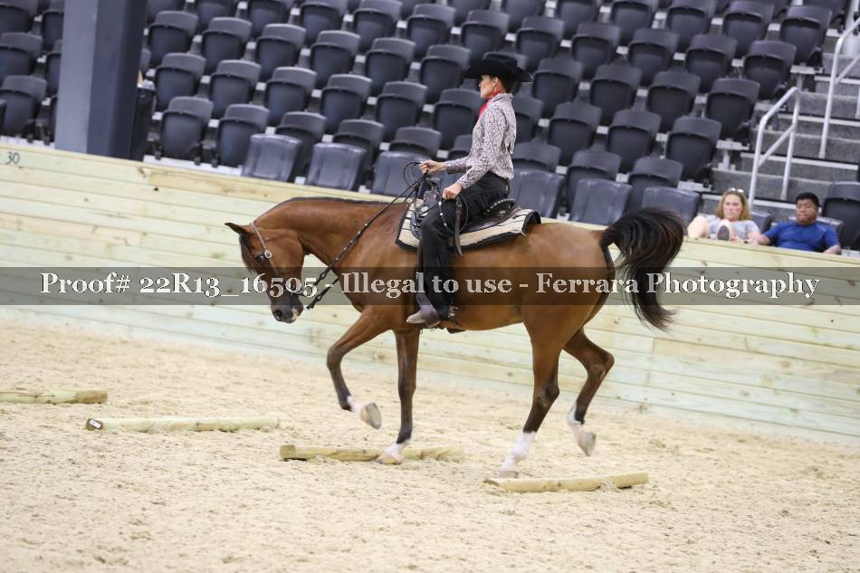 Proof 22R13_16505