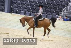 22R13_16505 proof