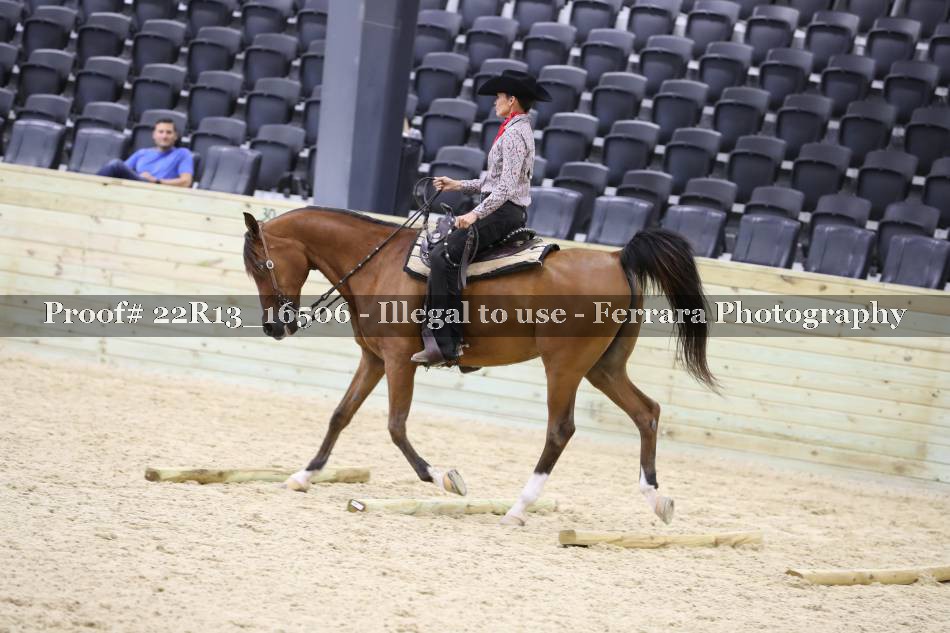 Proof 22R13_16506