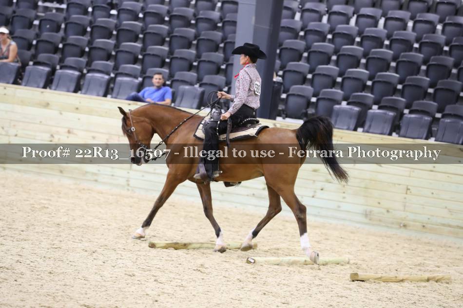 Proof 22R13_16507