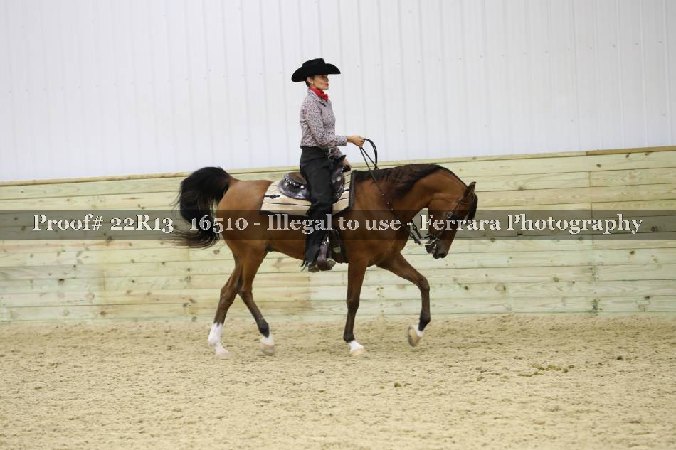 Proof 22R13_16510