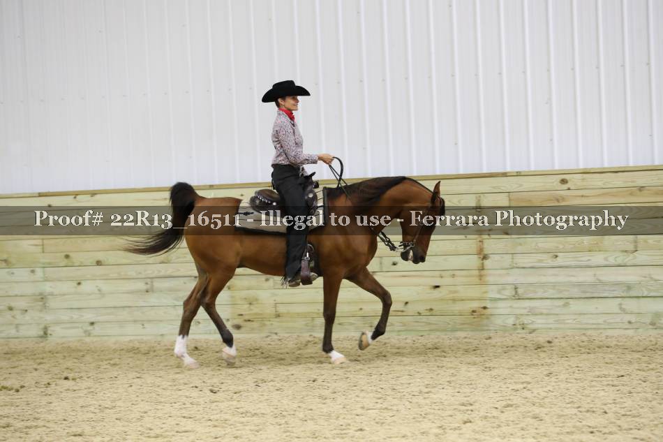 Proof 22R13_16511