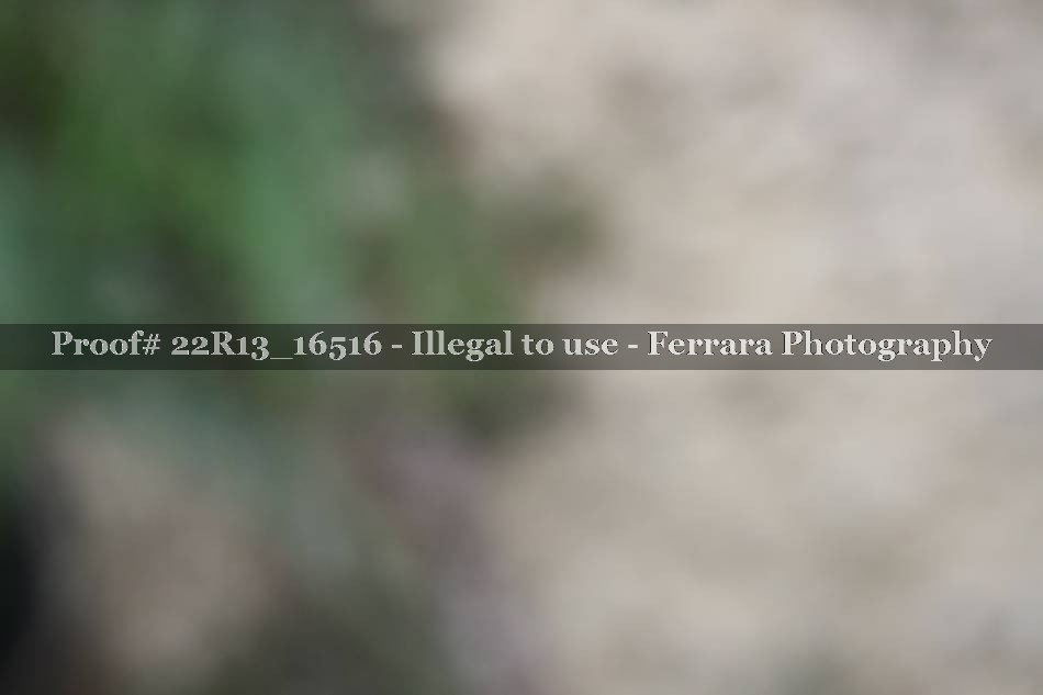 Proof 22R13_16516
