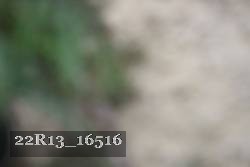22R13_16516 proof