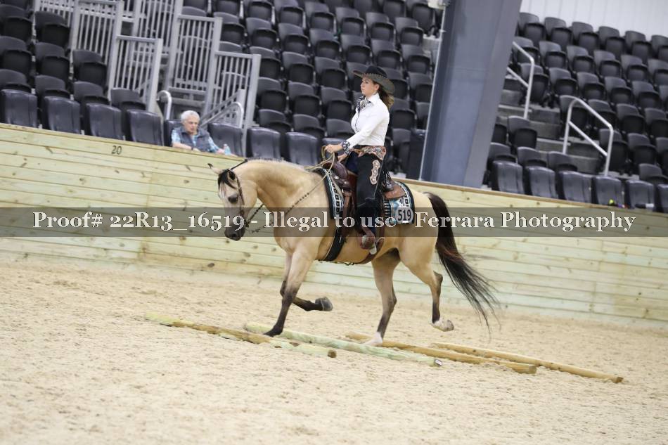 Proof 22R13_16519