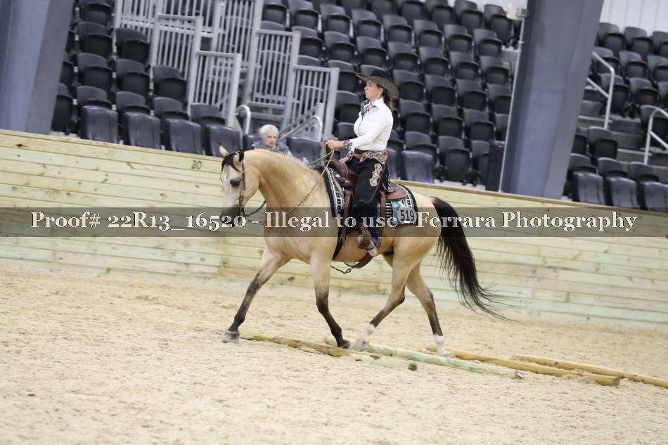 Proof 22R13_16520