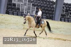 22R13_16520 proof