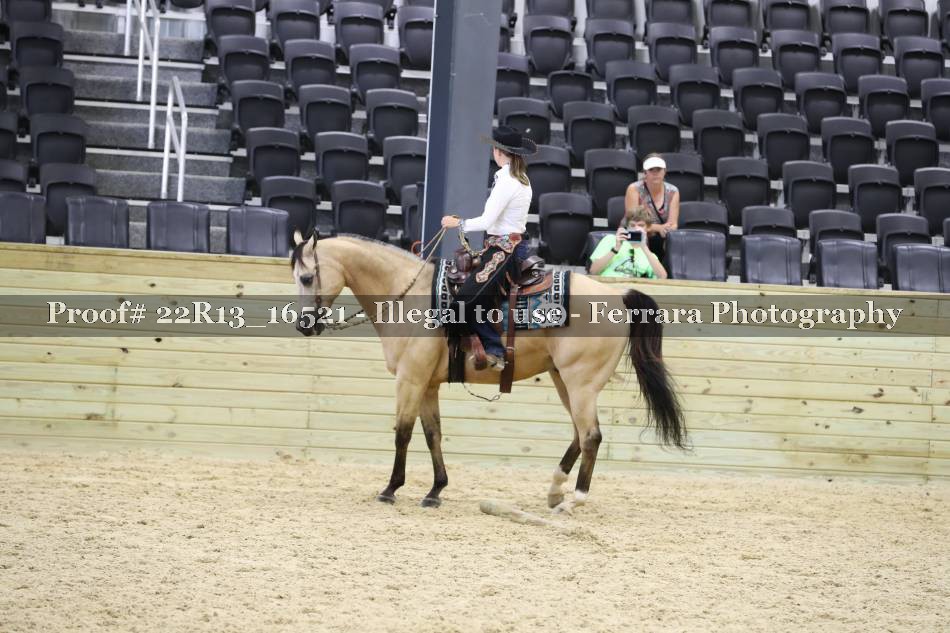 Proof 22R13_16521