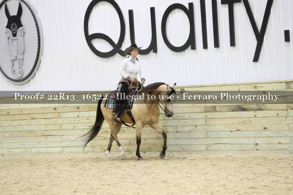 Proof 22R13_16522