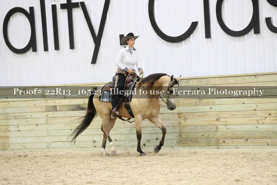 Proof 22R13_16523