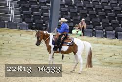 22R13_16533 proof