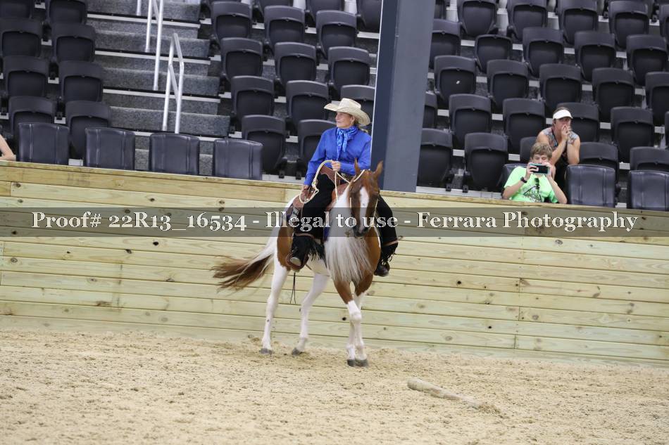 Proof 22R13_16534