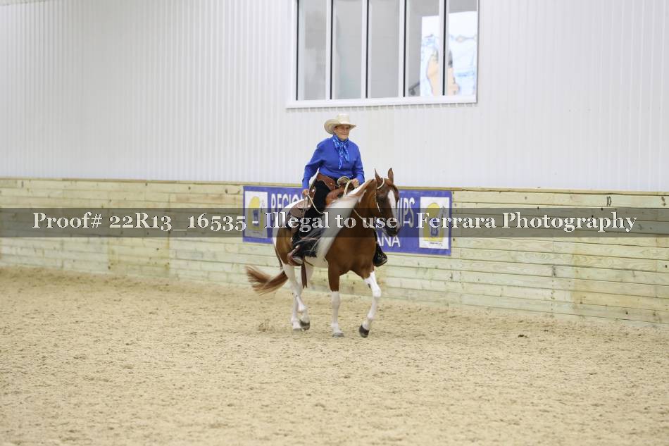 Proof 22R13_16535