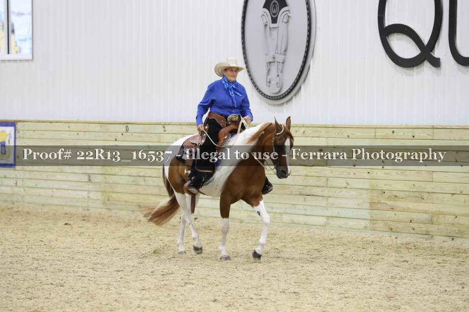 Proof 22R13_16537