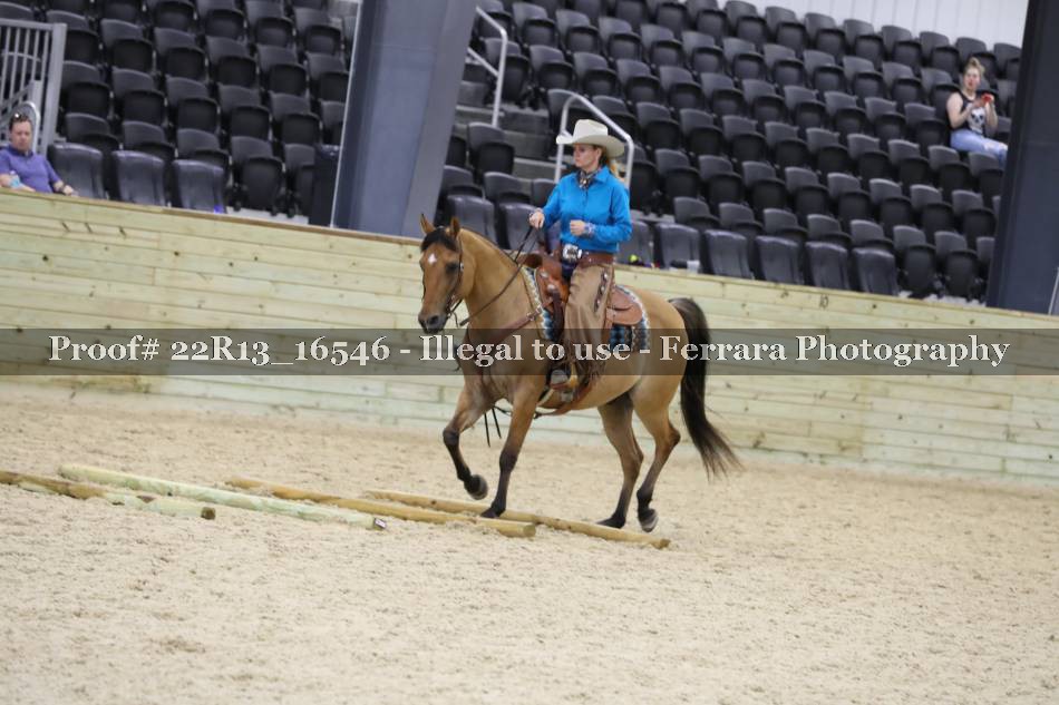 Proof 22R13_16546