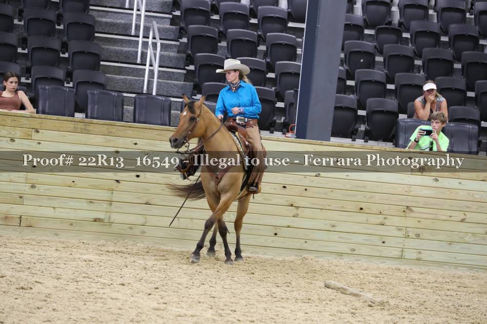 Proof 22R13_16549
