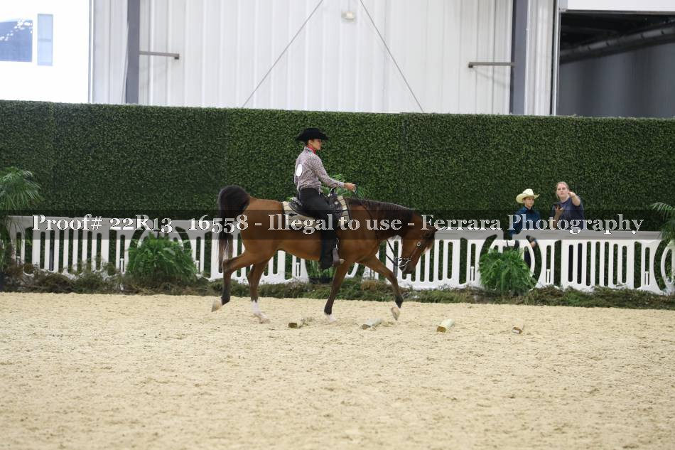 Proof 22R13_16558