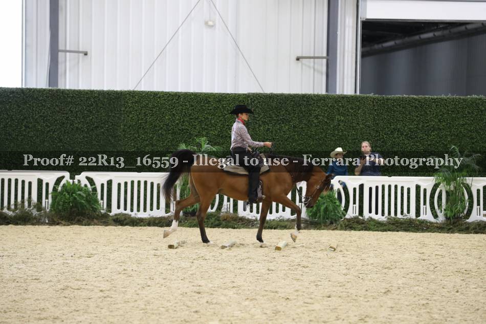 Proof 22R13_16559