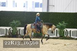 22R13_16560 proof