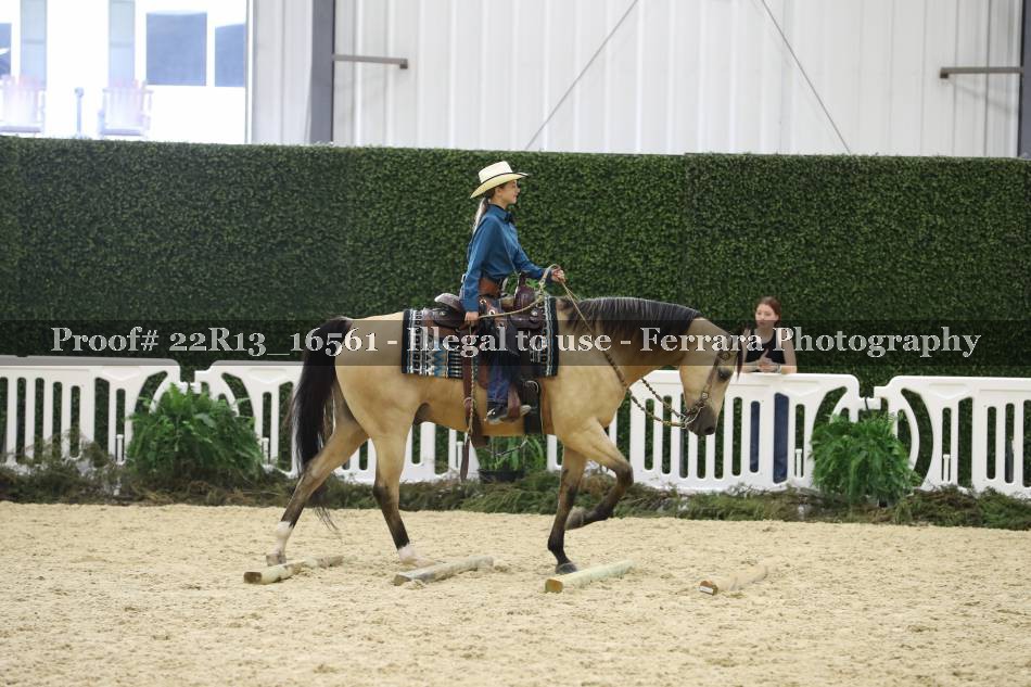 Proof 22R13_16561