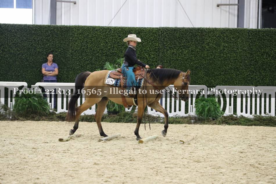 Proof 22R13_16565