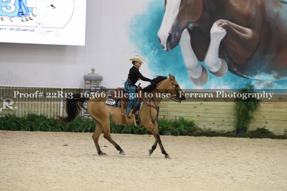 Proof 22R13_16566