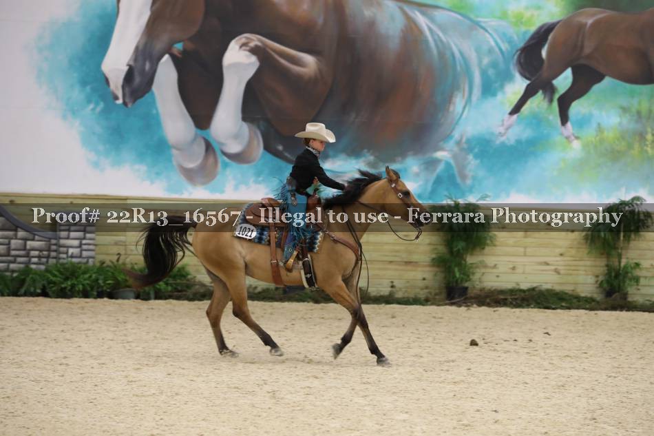 Proof 22R13_16567