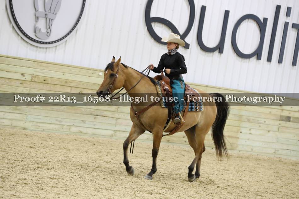 Proof 22R13_16568