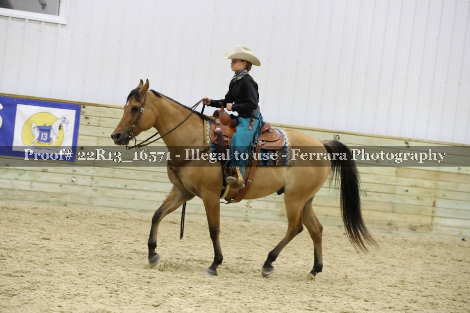 Proof 22R13_16571
