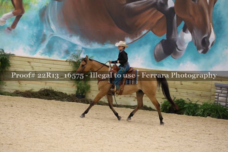 Proof 22R13_16575