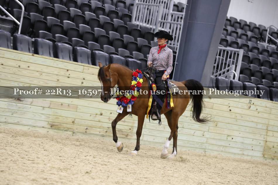 Proof 22R13_16597