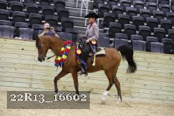 22R13_16602 proof
