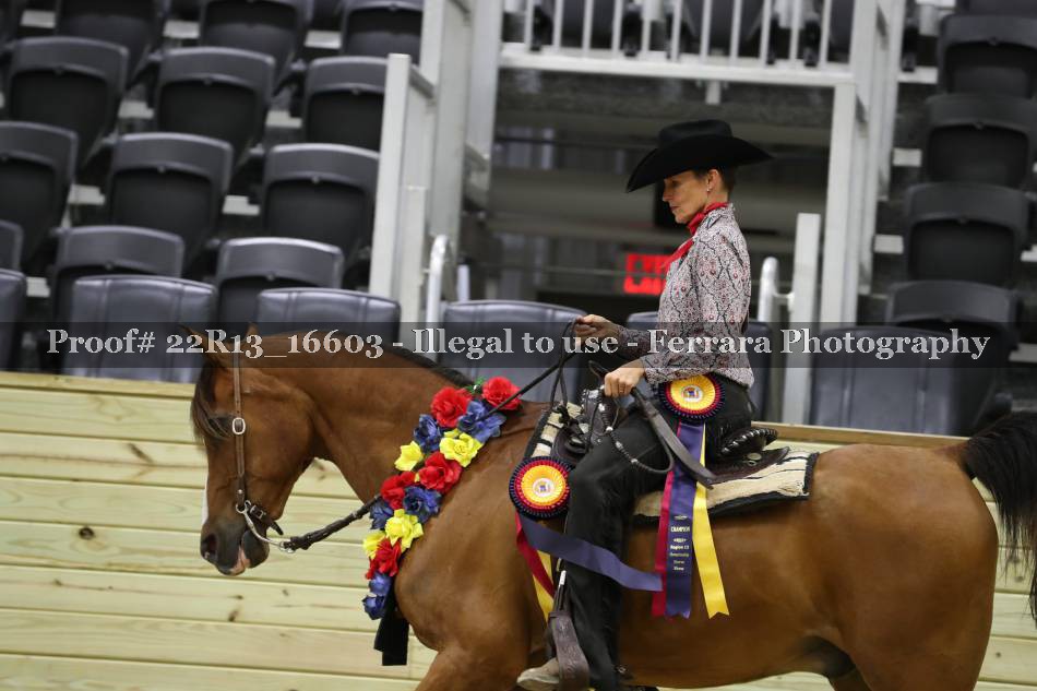 Proof 22R13_16603
