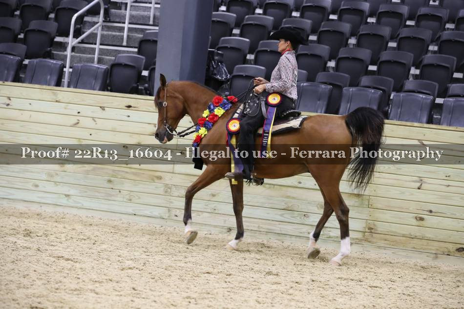 Proof 22R13_16604