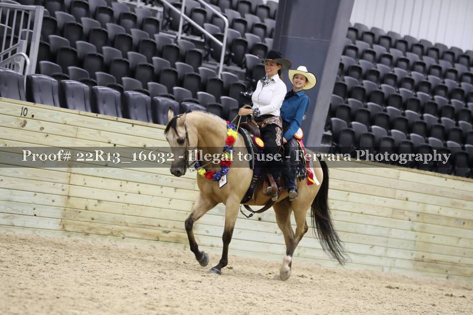 Proof 22R13_16632