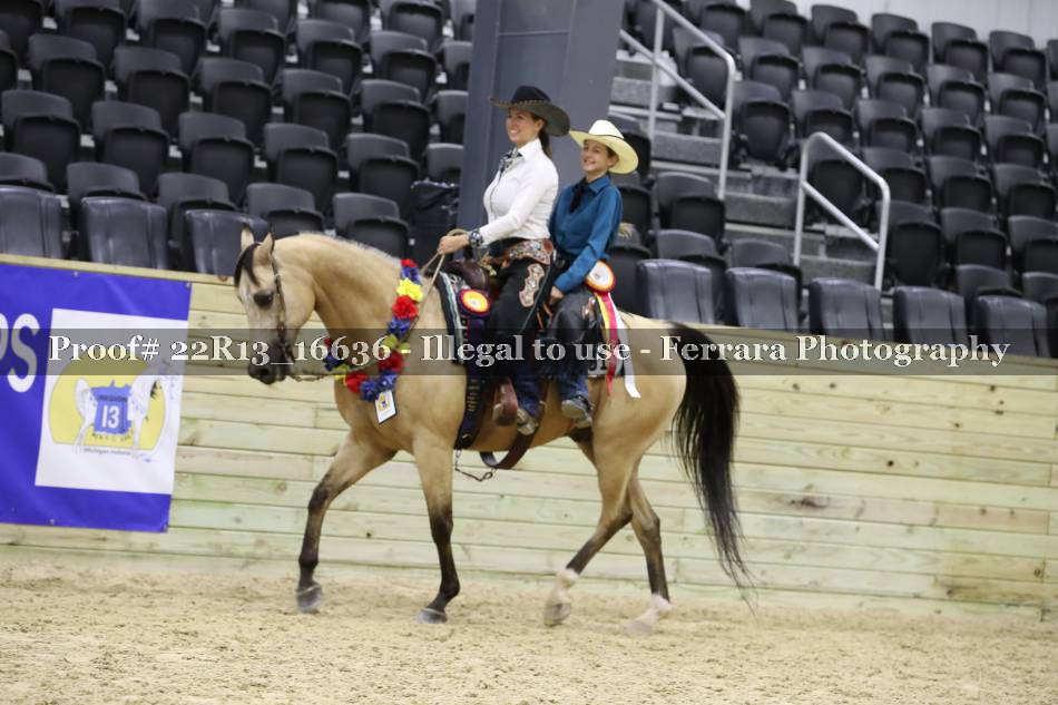 Proof 22R13_16636