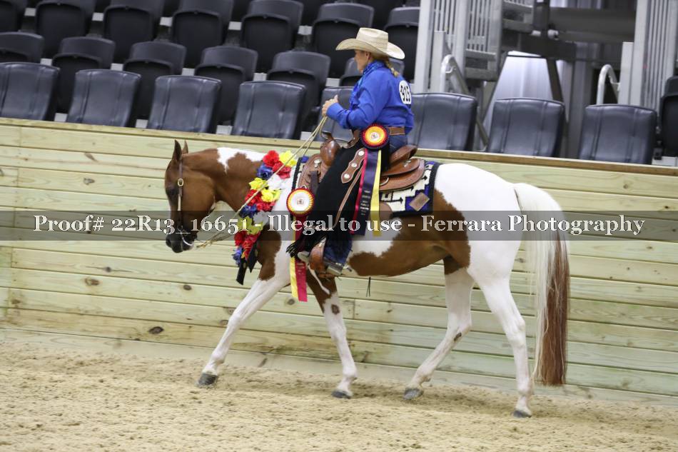 Proof 22R13_16651