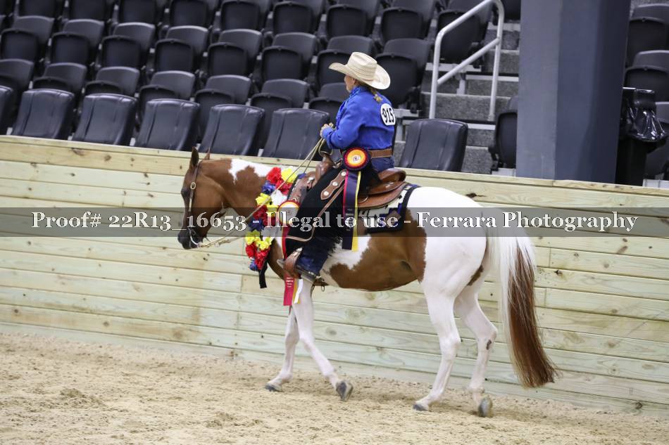 Proof 22R13_16653