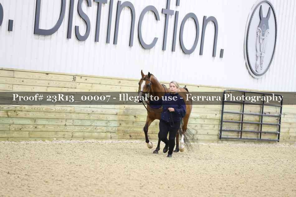 Proof 23R13_00007