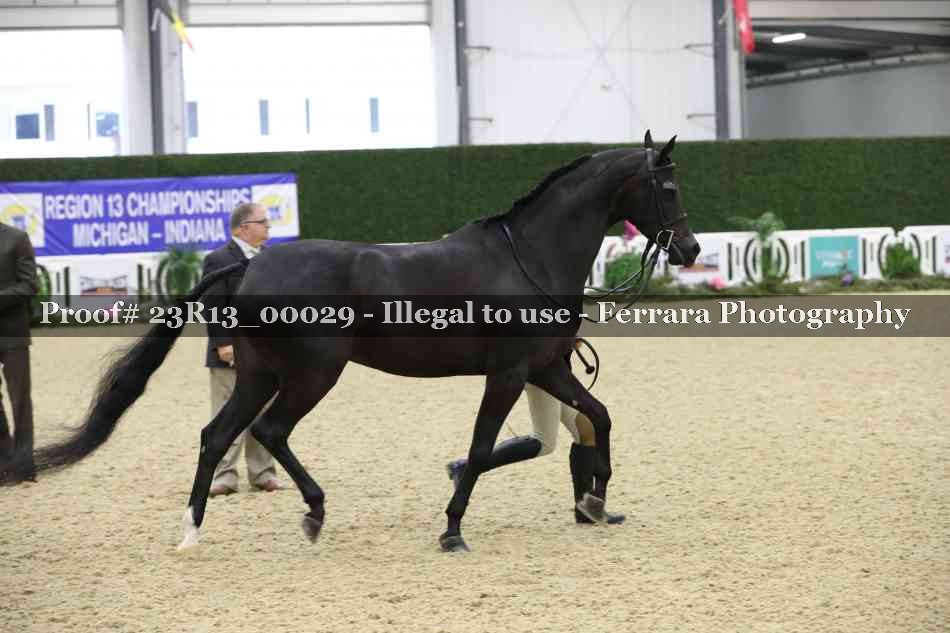 Proof 23R13_00029