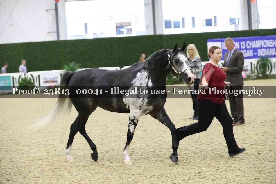 Proof 23R13_00041