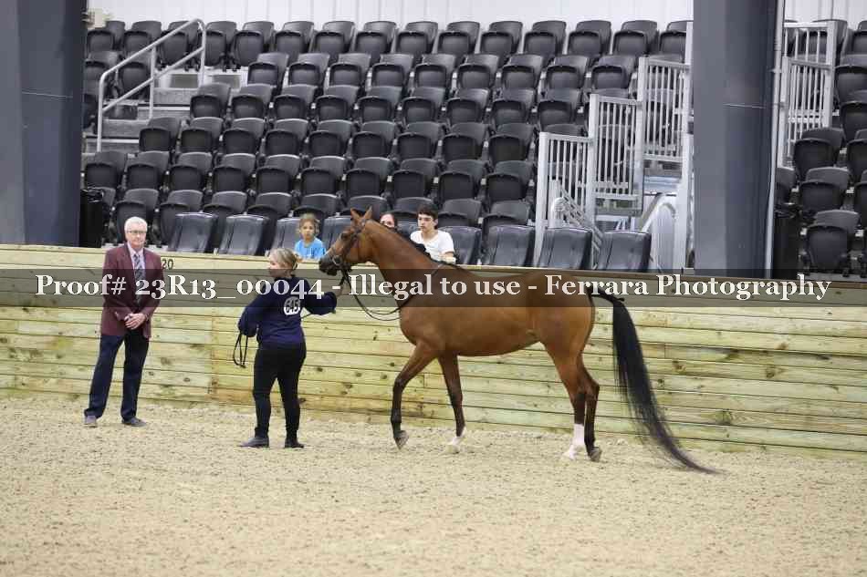 Proof 23R13_00044