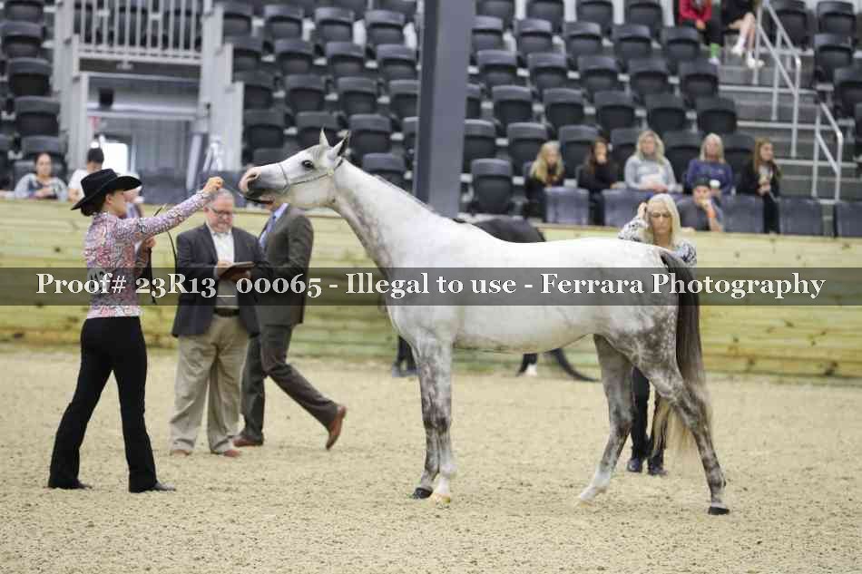 Proof 23R13_00065