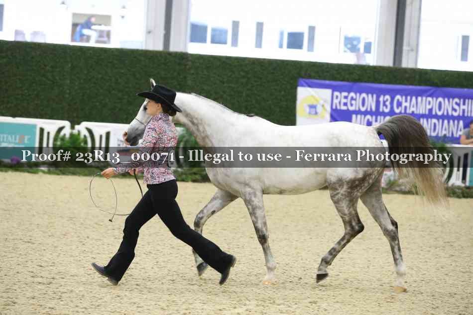 Proof 23R13_00071