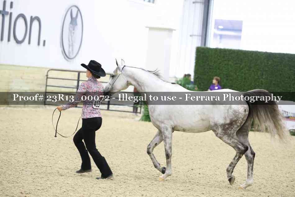 Proof 23R13_00072