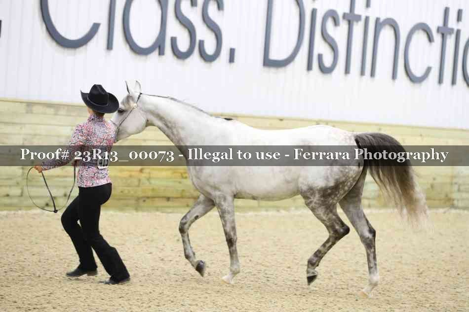 Proof 23R13_00073