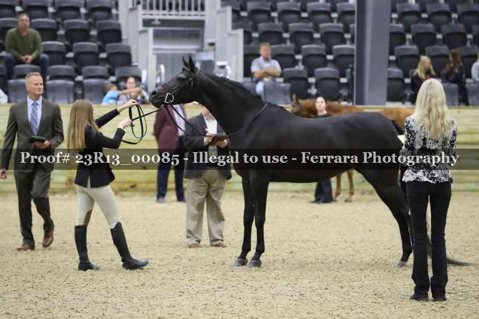 Proof 23R13_00085