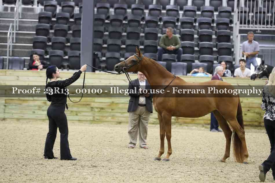 Proof 23R13_00100