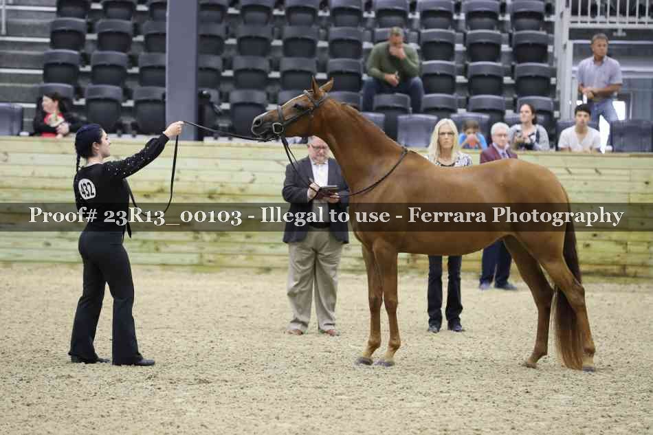 Proof 23R13_00103